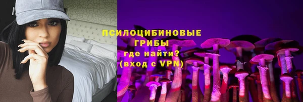 скорость Пестово