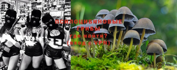 ALPHA PVP Абинск