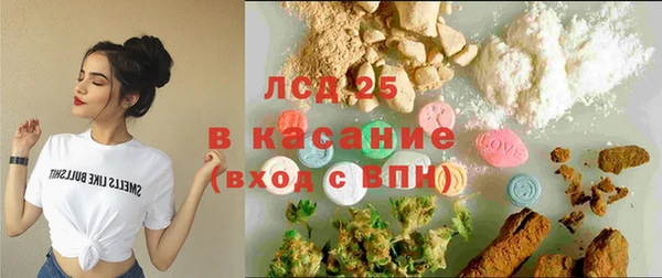 прущие грибы Пересвет
