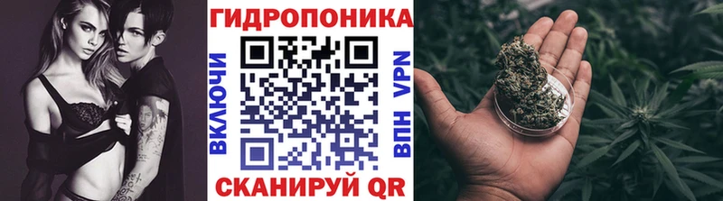 darknet состав  хочу наркоту  Подпорожье  Канабис THC 21% 